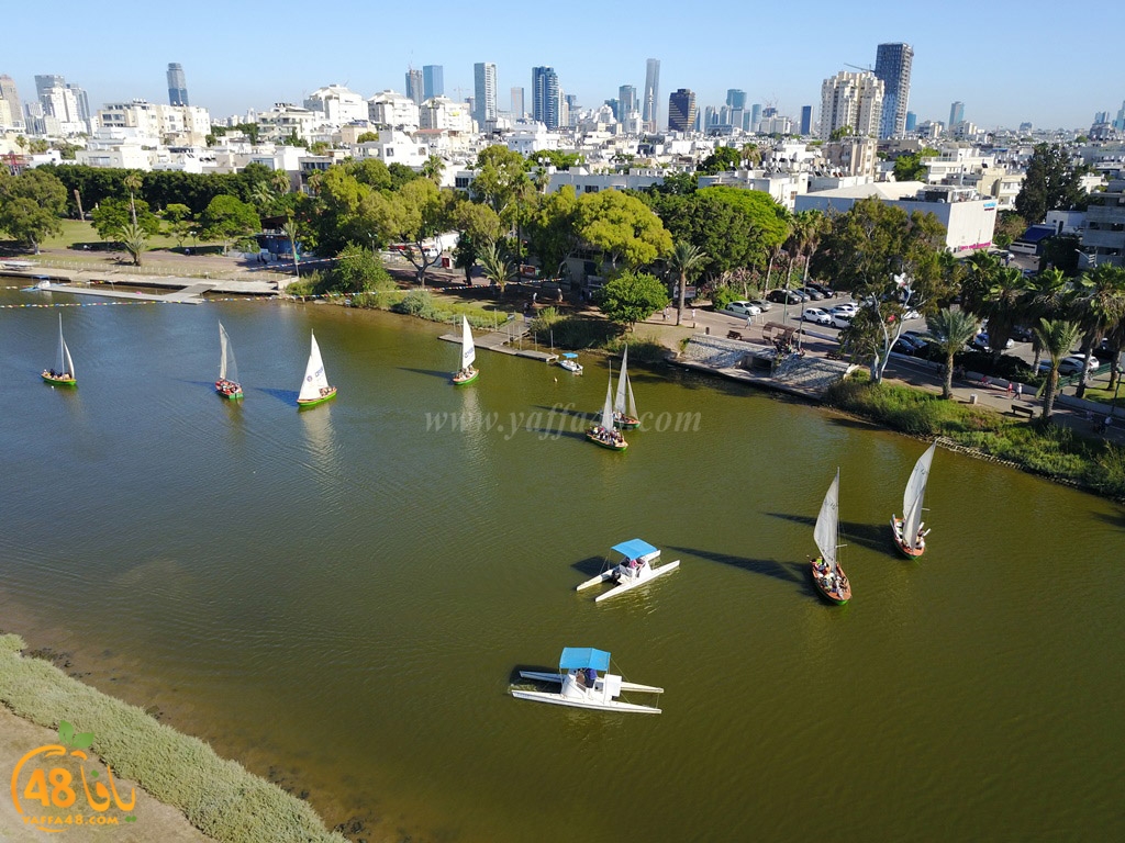 al3oja nahre (17).JPG